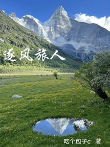 逐风者桑德兰